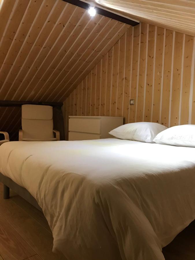 Studio De 35M2 Au Centre De Cusset Eksteriør billede